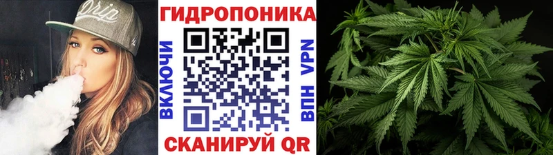 ГАШИШ Луга