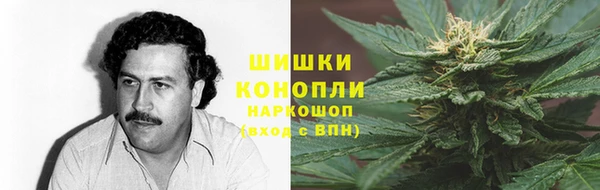 spice Абаза