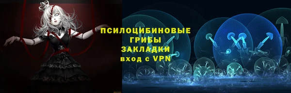 spice Абаза