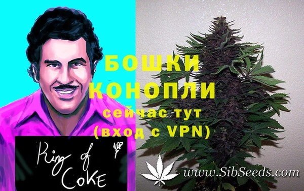 spice Абаза