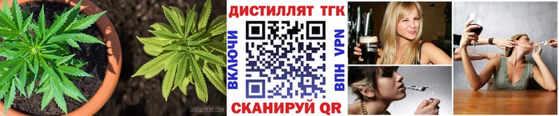 продажа наркотиков  Луга  Дистиллят ТГК гашишное масло 